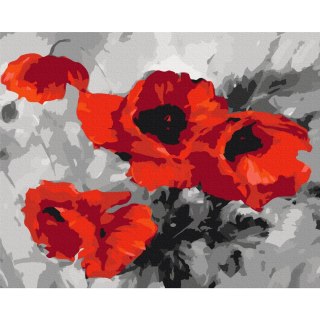 Obraz do samodzielnego malowania - Bukiet maków 50x40