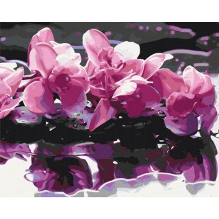 Obraz do samodzielnego malowania - Fioletowa orchidea 50x40