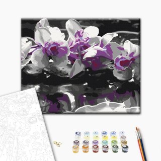 Obraz do samodzielnego malowania - Fioletowa orchidea (czarne tło i odbicie w wodzie) 50x40