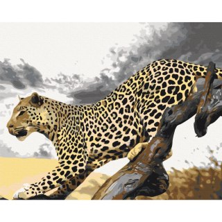 Obraz do samodzielnego malowania - Gepard 50x40