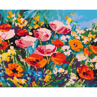 Obraz do samodzielnego malowania - Kolorowe kwiaty polne 50x40
