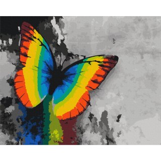 Obraz do samodzielnego malowania - Kolorowy motyl 50x40
