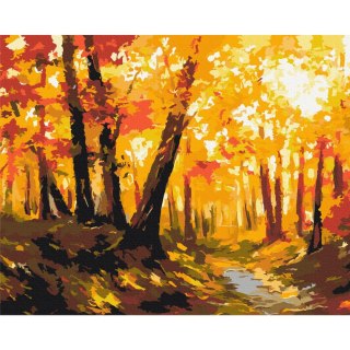 Obraz do samodzielnego malowania - Leśna ścieżka 50x40