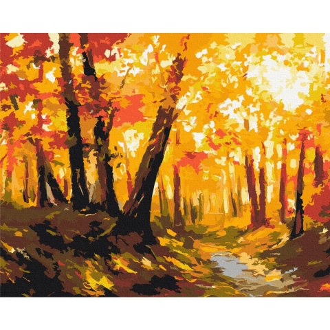 Obraz do samodzielnego malowania - Leśna ścieżka 50x40