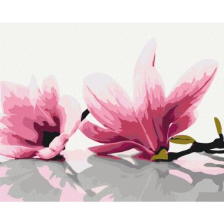 Obraz do samodzielnego malowania - Magnolia (białe tło) 50x40