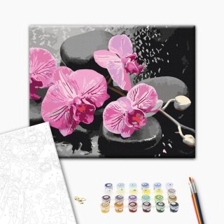 Obraz do samodzielnego malowania - Orchidea i kamienie zen (czarne tło) 50x40