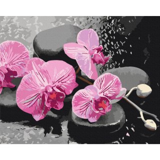 Obraz do samodzielnego malowania - Orchidea i kamienie zen (czarne tło) 50x40