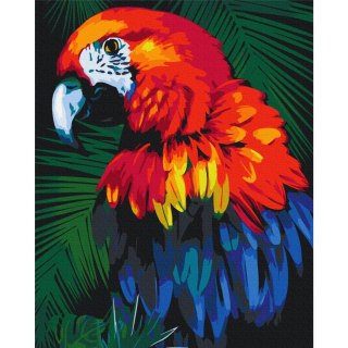 Obraz do samodzielnego malowania - Papuga 40x50
