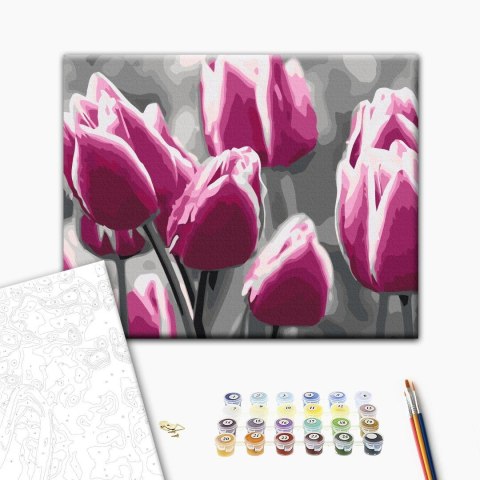 Obraz do samodzielnego malowania - Pole tulipanów 50x40
