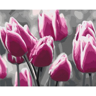 Obraz do samodzielnego malowania - Pole tulipanów 50x40