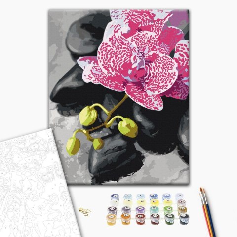 Obraz do samodzielnego malowania - Różowa orchidea 40x50