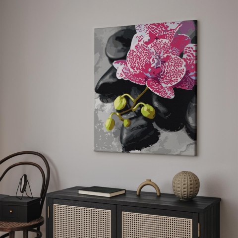 Obraz do samodzielnego malowania - Różowa orchidea 40x50