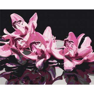 Obraz do samodzielnego malowania - Różowa orchidea (czarne tło) 50x40