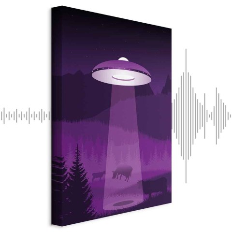 Obraz - Ufo (1-częściowy) pionowy 40x60 Akustyczny