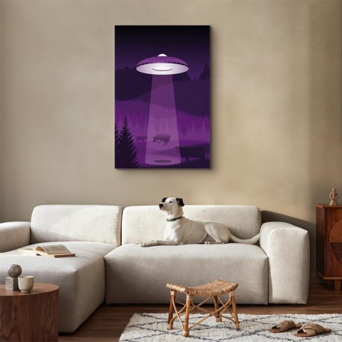 Obraz - Ufo (1-częściowy) pionowy 40x60 Premium Print