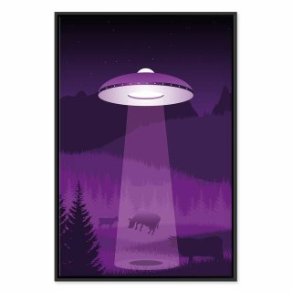 Obraz - Ufo (1-częściowy) pionowy 40x60 W ramie drewnianej czarnej