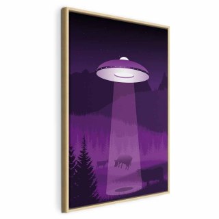 Obraz - Ufo (1-częściowy) pionowy 40x60 W ramie drewnianej naturalnej