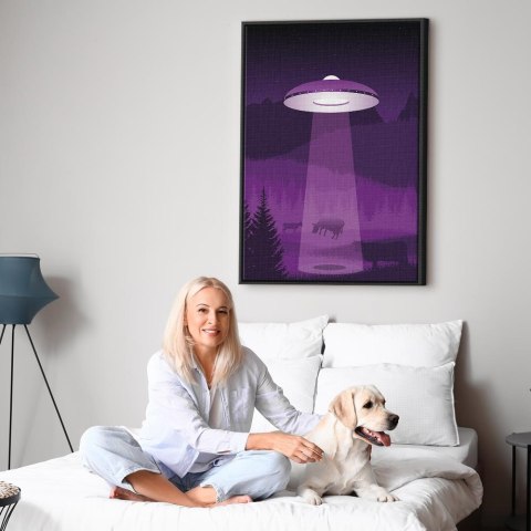 Obraz - Ufo (1-częściowy) pionowy 60x90 W ramie drewnianej czarnej