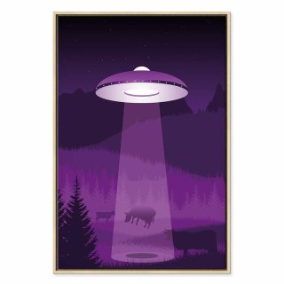 Obraz - Ufo (1-częściowy) pionowy 60x90 W ramie drewnianej naturalnej