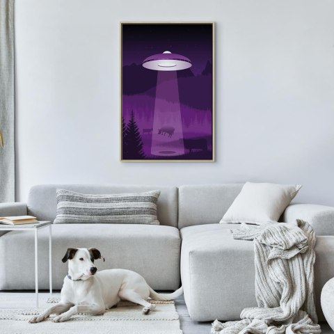 Obraz - Ufo (1-częściowy) pionowy 60x90 W ramie drewnianej naturalnej