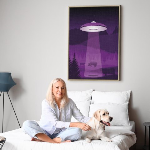 Obraz - Ufo (1-częściowy) pionowy 60x90 W ramie drewnianej naturalnej