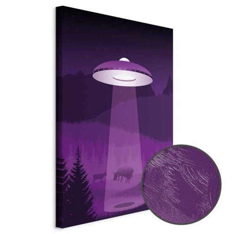 Obraz - Ufo (1-częściowy) pionowy 80x120 Premium Print