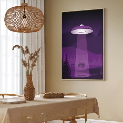 Obraz - Ufo (1-częściowy) pionowy 80x120 W ramie drewnianej naturalnej