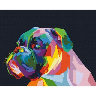 Obraz do samodzielnego malowania - Kolorowy bokser 50x40