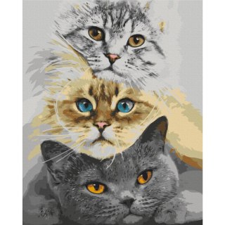 Obraz do samodzielnego malowania - Kocie trio 40x50