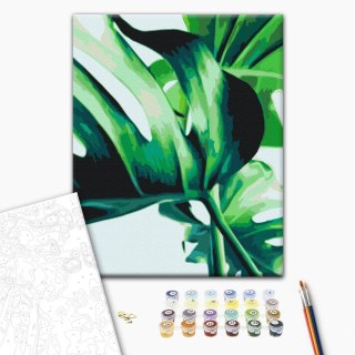 Obraz do samodzielnego malowania - Monstera Adansona 40x50