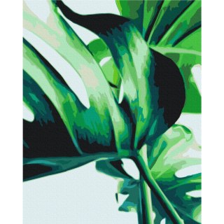 Obraz do samodzielnego malowania - Monstera Adansona 40x50