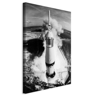 Obraz - Kosmiczna prędkość (1-częściowy) pionowy 20x30 Standard