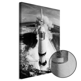 Obraz - Kosmiczna prędkość (1-częściowy) pionowy 40x60 Premium Print
