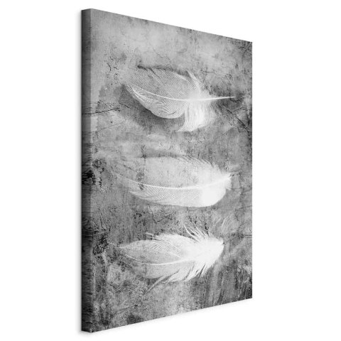 Obraz - Ulotna tajemnica (1-częściowy) pionowy 60x90 Standard