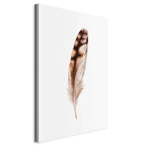 Obraz - Magiczne pióro (1-częściowy) pionowy 80x120 Standard
