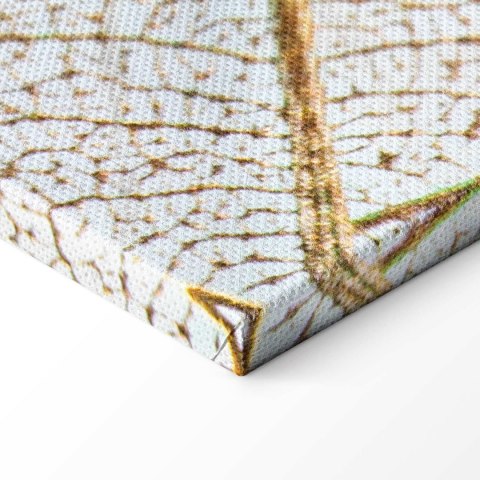 Obraz - Chwila (1-częściowy) szeroki 60x40 Standard