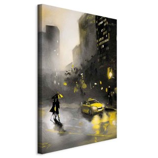 Obraz - Blask miasta (1-częściowy) pionowy 40x60 Na płótnie włoskim