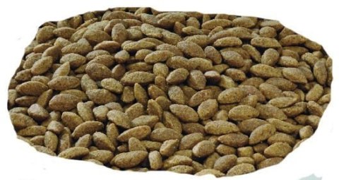 Purina Pro Plan Medium & Large 7+ Sensitive Optiderma Łosoś I Ryż 14kg