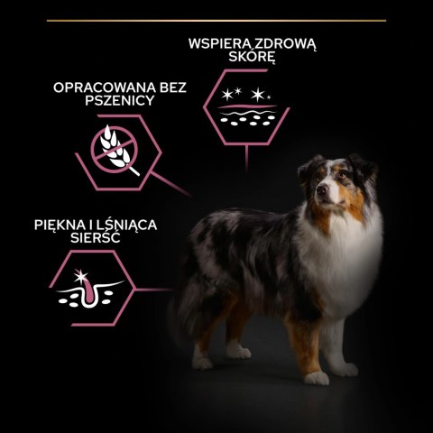 Purina Pro Plan Medium & Large 7+ Sensitive Optiderma Łosoś I Ryż 14kg