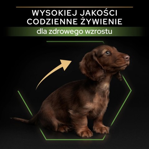 Purina Pro Plan Small & Mini Puppy Optistart Kurczak I Ryż 7kg