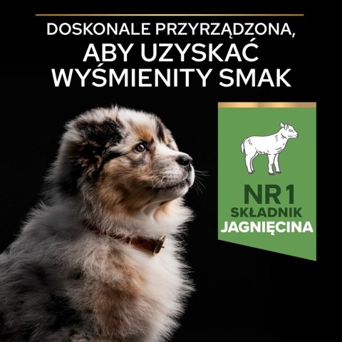Purina Pro Plan Medium Puppy Sensitive Optidigest Jagnięcina I Ryż 12kg