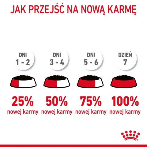 ROYAL CANIN Intense Beauty Gelee 12x85g
