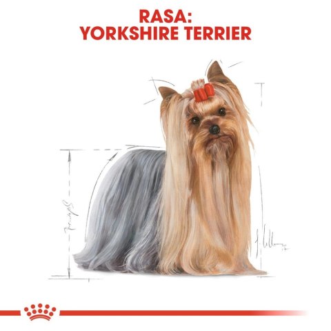 ROYAL CANIN Yorkshire Terrier Adult 12x85g
