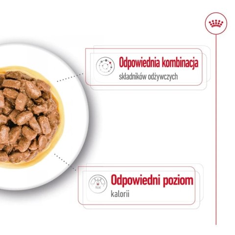ROYAL CANIN Mini Ageing 12+ 12x85g