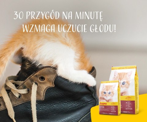 Josera Kitten 10kg