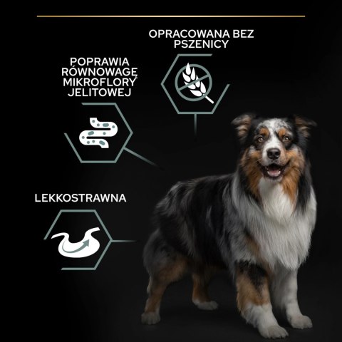Purina Pro Plan Adult Medium&Large Digestion OptiDigest 12kg