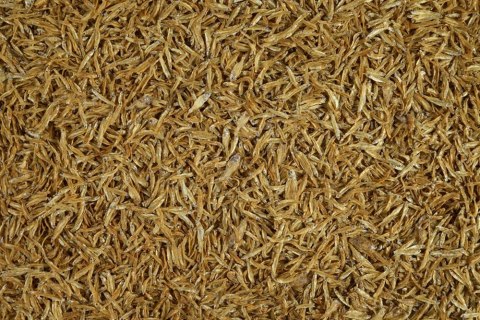 Tetra Anchovies 1l