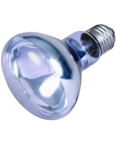 Trixie Neodymowa Żarówka Grzewcza 75W
