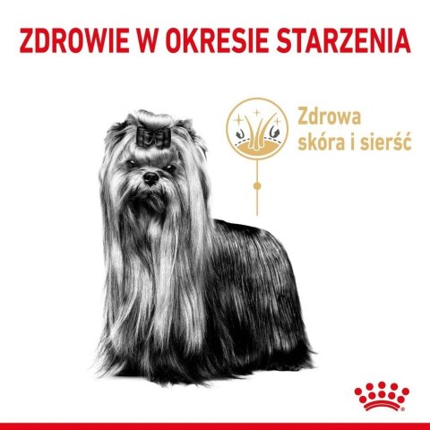 ROYAL CANIN Yorkshire Terrier Adult 8+ 3kg