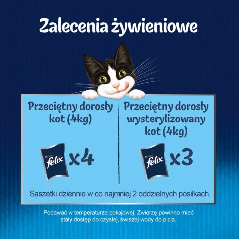 Felix Fantastic Wiejskie Smaki W Galaretce 24x85g